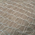 Mesh di filo esagonale di pesce in PVC professionale